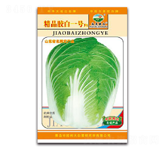 精品膠白一號F1-白菜種子-膠白