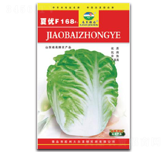 夏優(yōu)F168F1-白菜種子-膠白