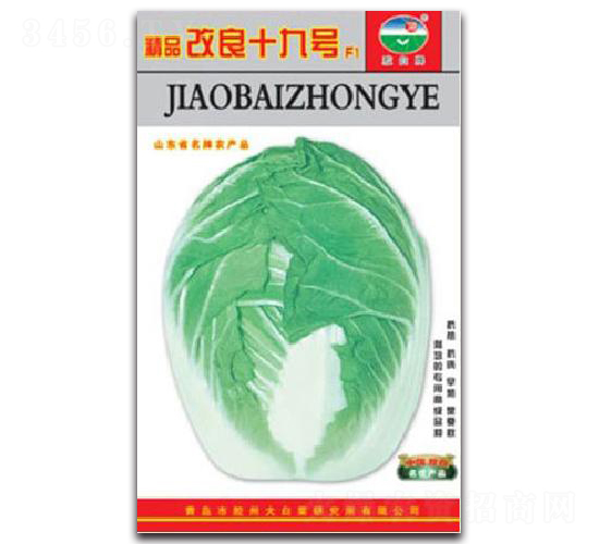 精品改良十九號F1-白菜種子-膠白