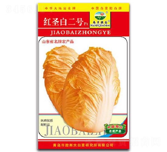 紅圣白二號(hào)F1-白菜種子-膠白