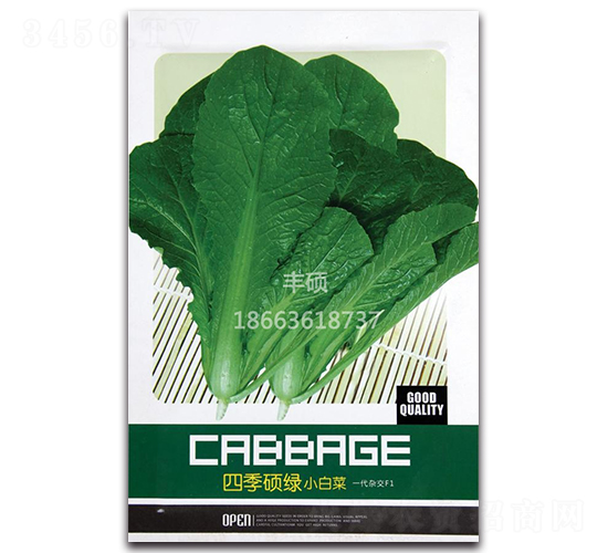 四季碩綠小白菜-白菜種子-豐碩種業(yè)