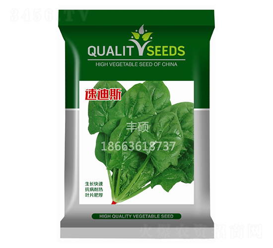 速迪斯-青梗菜種子-豐碩種業(yè)