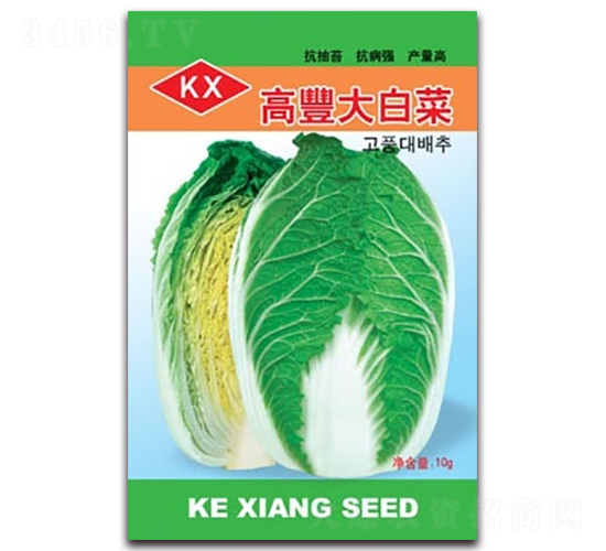 高豐大白菜-大白菜種子-科翔種業(yè)