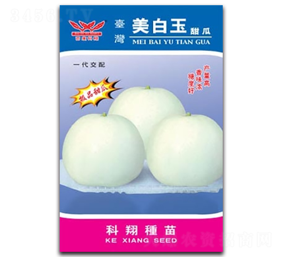 美白玉-甜瓜種子-科翔種業(yè)