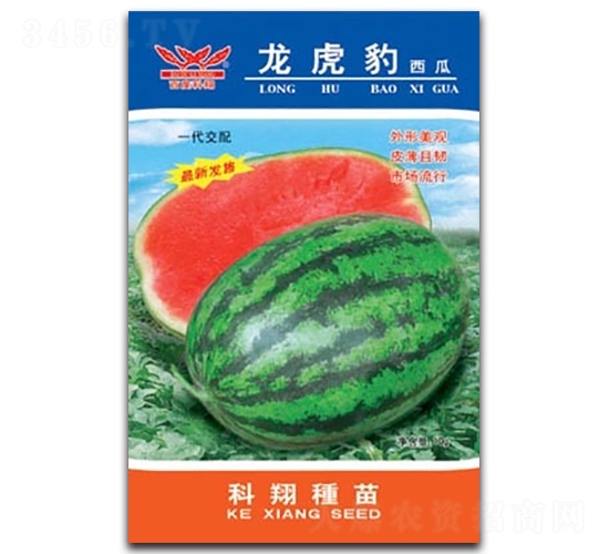 龍虎豹西瓜-西瓜種子-科翔種業(yè)