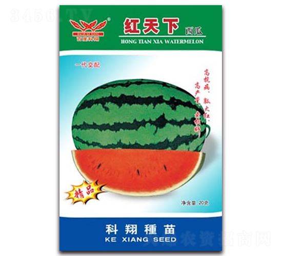 紅天下-西瓜種子-科翔種業(yè)