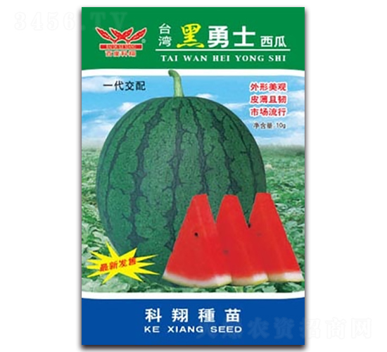 黑勇士-西瓜種子-科翔種業(yè)