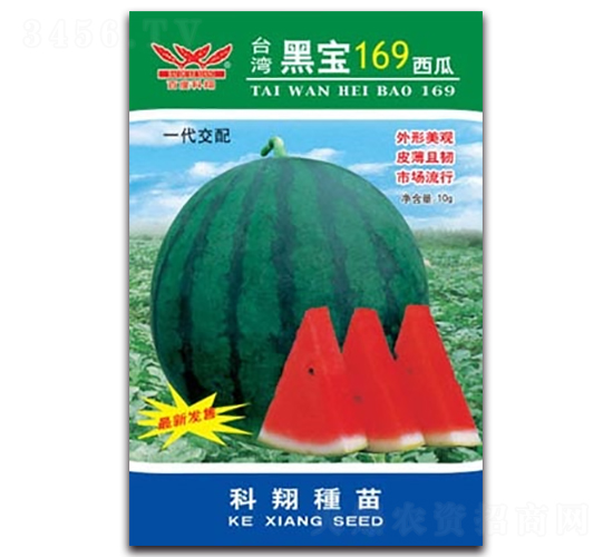 黑寶169西瓜-西瓜種子-科翔種業(yè)
