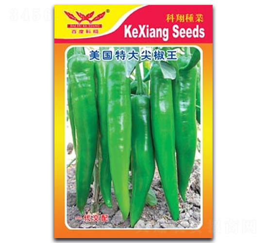 美國特大尖椒王-辣椒種子-科翔種業(yè)