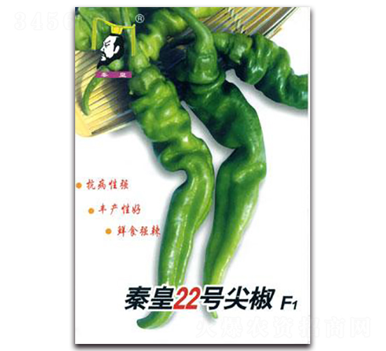 秦皇22號(hào)尖椒F1-辣椒種子-秦皇