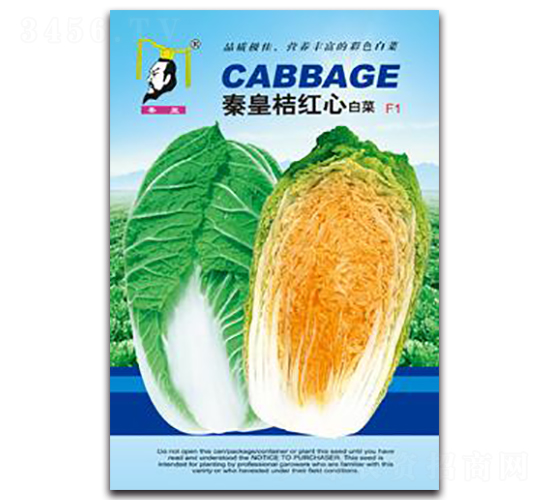 秦皇桔紅心白菜F1-白菜種子-秦皇
