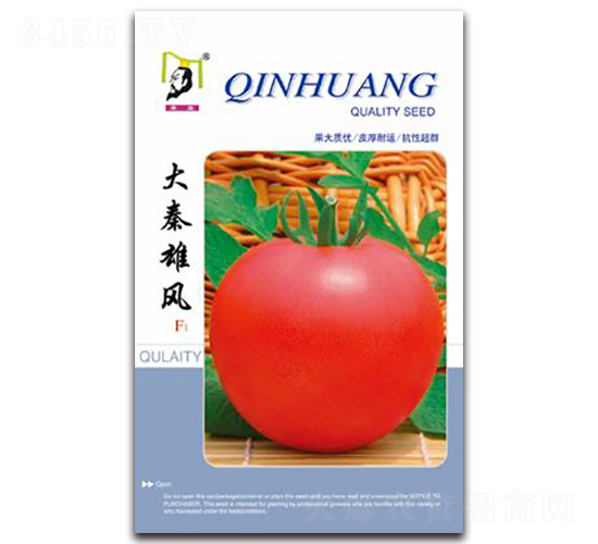 精選大秦雄風(fēng)F1-番茄種子-秦皇