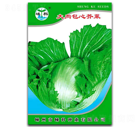 大肉大包心芥菜-芥菜種子-嵊科種業(yè)
