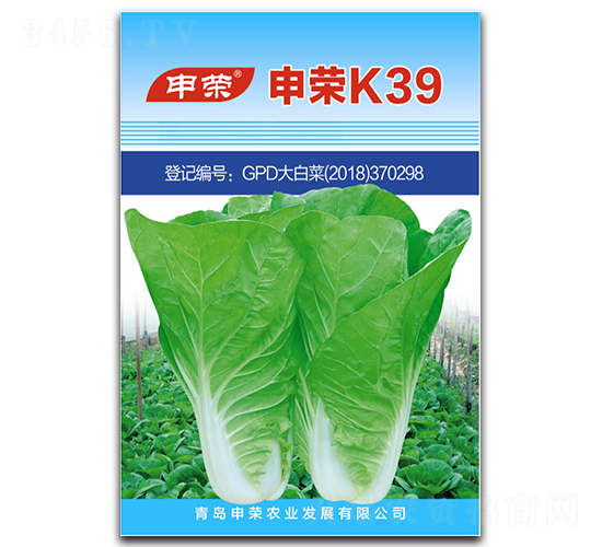 申榮K39-白菜種子-申榮農(nóng)業(yè)