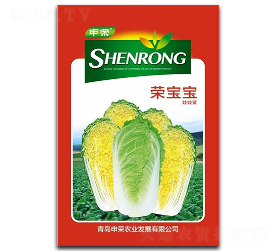 榮寶寶-白菜種子-申榮農(nóng)業(yè)