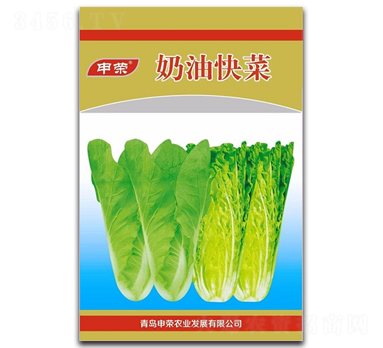 奶油快菜-快菜種子-申榮農(nóng)業(yè)