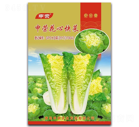 申榮花心快菜-快菜種子-申榮農(nóng)業(yè)