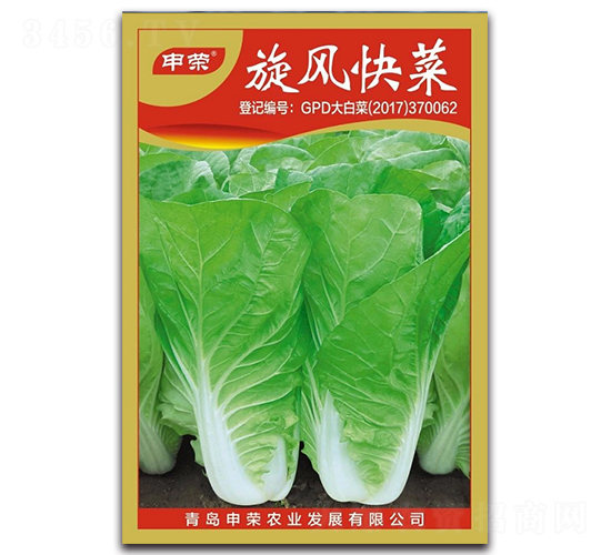 旋風(fēng)快菜-快菜種子-申榮農(nóng)業(yè)
