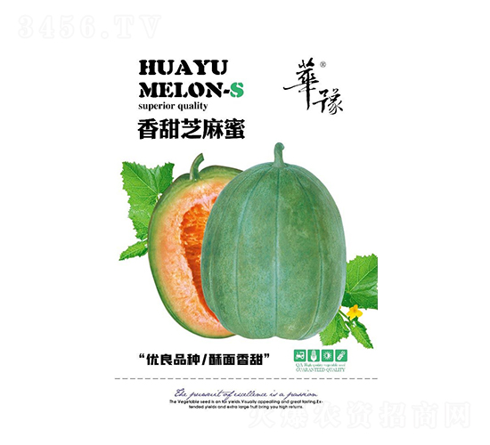 香甜芝麻蜜-甜瓜種子-邢源農(nóng)業(yè)