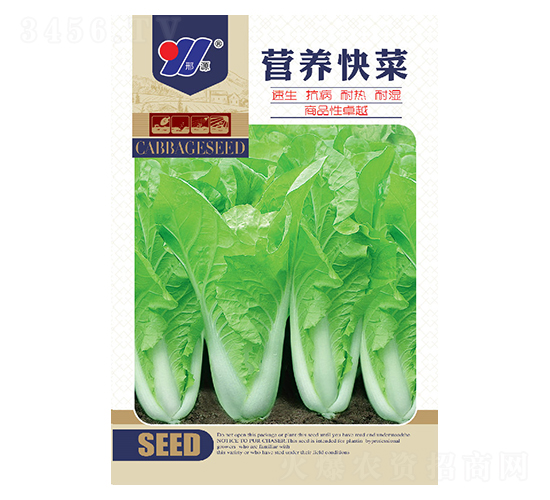營養(yǎng)快菜-白菜種子-邢源農業(yè)