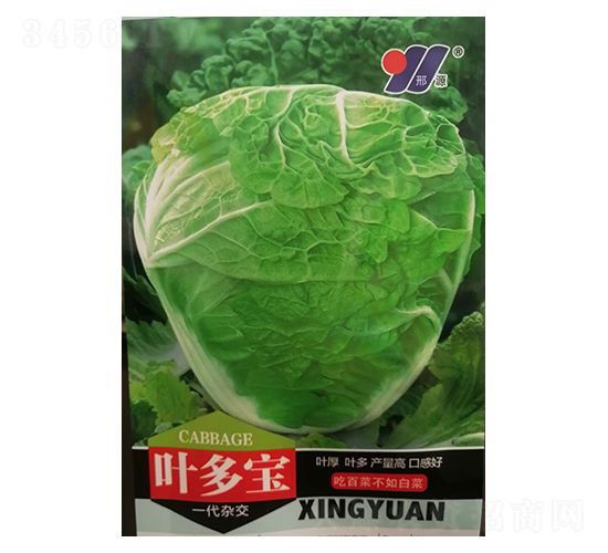 葉多寶-白菜種子-邢源農(nóng)業(yè)
