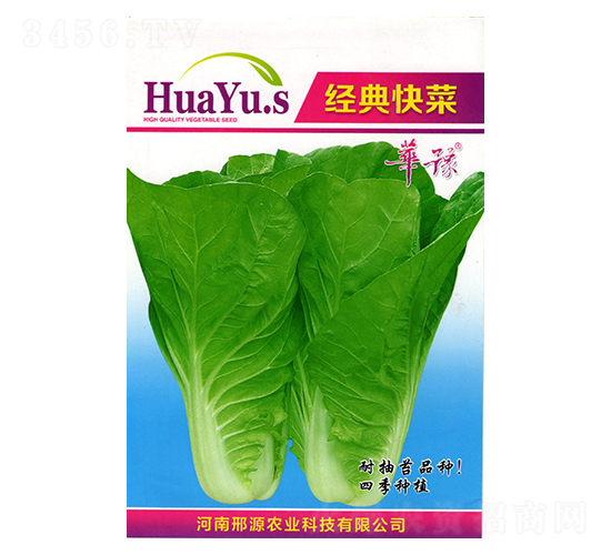 經(jīng)典快菜-白菜種子-邢源農(nóng)業(yè)