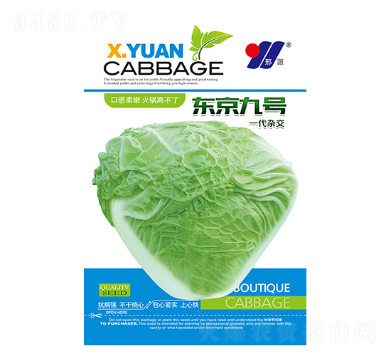 東京九號(hào)-白菜種子-邢源農(nóng)業(yè)