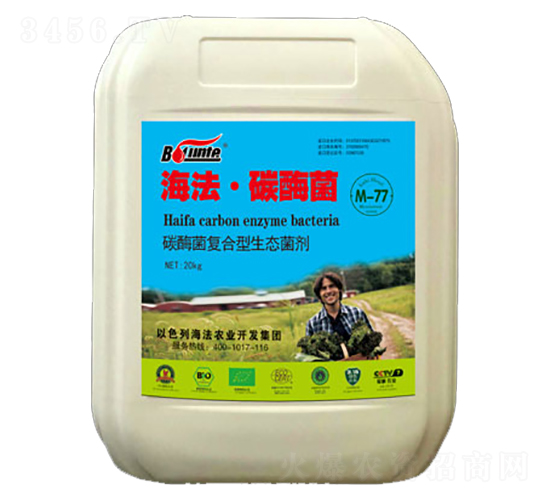 碳酶菌-伯倫特