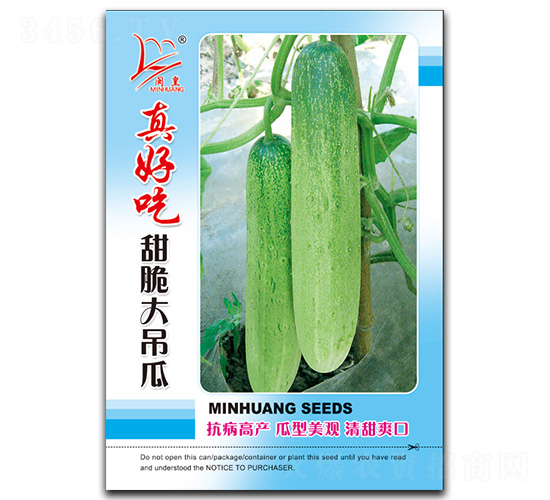 真好吃甜脆大吊瓜-吊瓜種子-閩皇種業(yè)