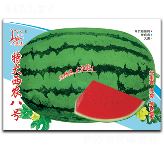 特大西農(nóng)八號(hào)-西瓜種子-閩皇種業(yè)