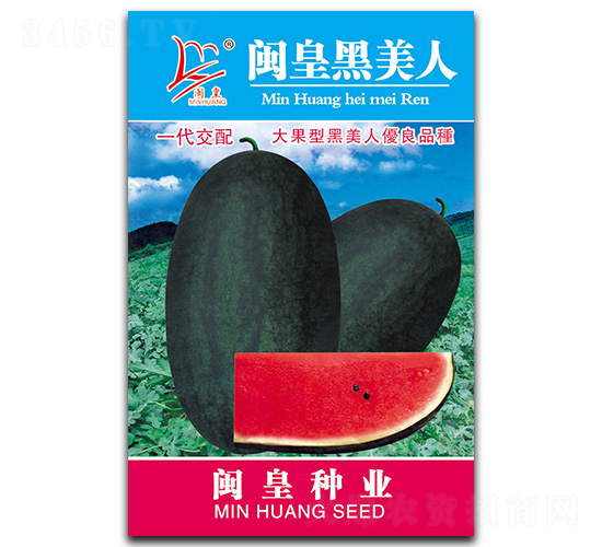 閩皇黑美人-西瓜種子-閩皇種業(yè)