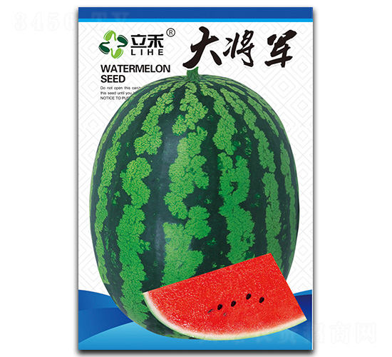 大將軍-西瓜種子-閩皇種業(yè)