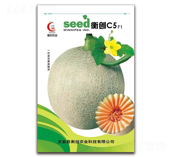 衡創(chuàng)C5-哈密瓜種子-衡創(chuàng)農(nóng)業(yè)