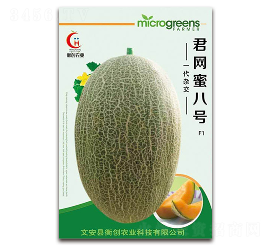 君網(wǎng)蜜八號-哈密瓜種子-衡創(chuàng)農(nóng)業(yè)