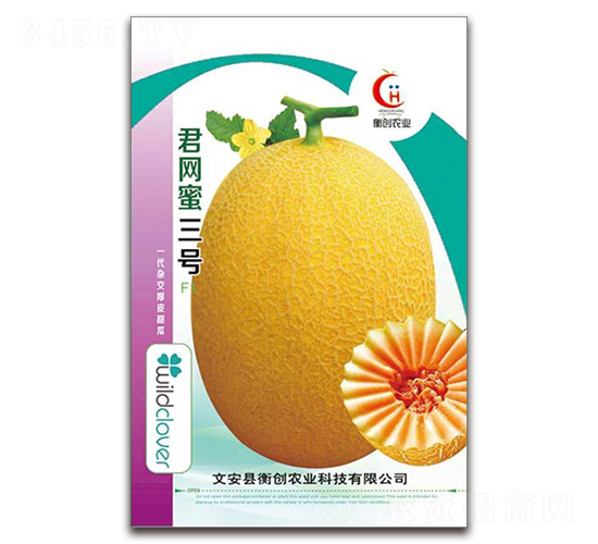 君網(wǎng)蜜三號-哈密瓜種子-衡創(chuàng)農(nóng)業(yè)