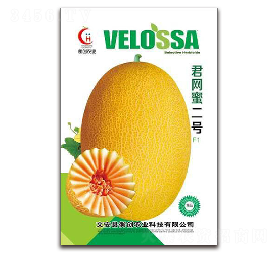 君網蜜二號-哈密瓜種子-衡創(chuàng)農業(yè)