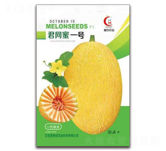 君網(wǎng)蜜一號(hào)-哈密瓜種子-衡創(chuàng)農(nóng)業(yè)