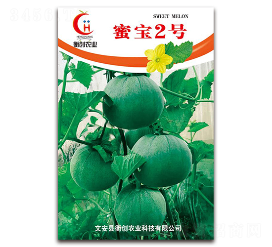 蜜寶2號-薄皮甜瓜種子-衡創(chuàng)農(nóng)業(yè)
