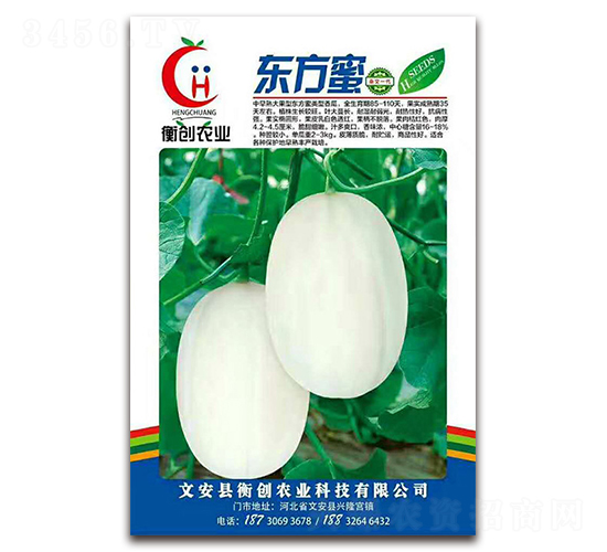 東方蜜-厚皮甜瓜種子-衡創(chuàng)農業(yè)