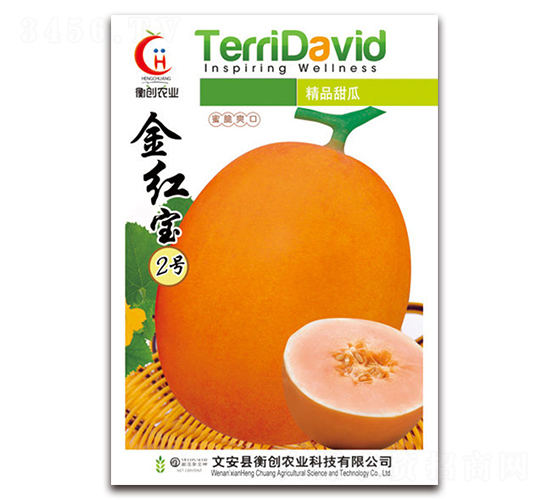 金紅寶2號-厚皮甜瓜種子-衡創(chuàng)農(nóng)業(yè)