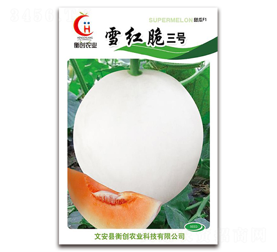 雪紅脆三號-厚皮甜瓜種子-衡創(chuàng)農(nóng)業(yè)