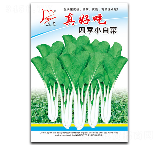 真好吃四季小白菜-小白菜種子-閩皇種業(yè)