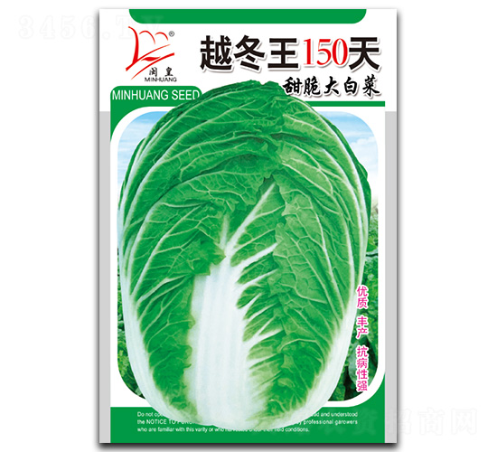 越冬王150天-白菜種子-閩皇種業(yè)