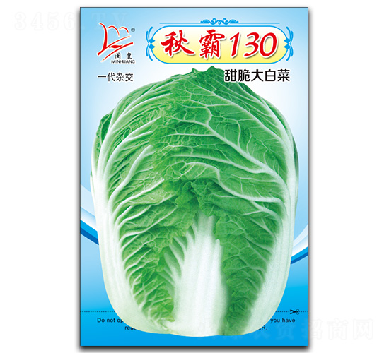 秋霸130-白菜種子-閩皇種業(yè)