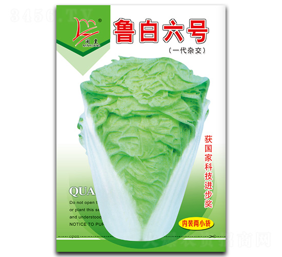 魯白六號-白菜種子-閩皇種業(yè)