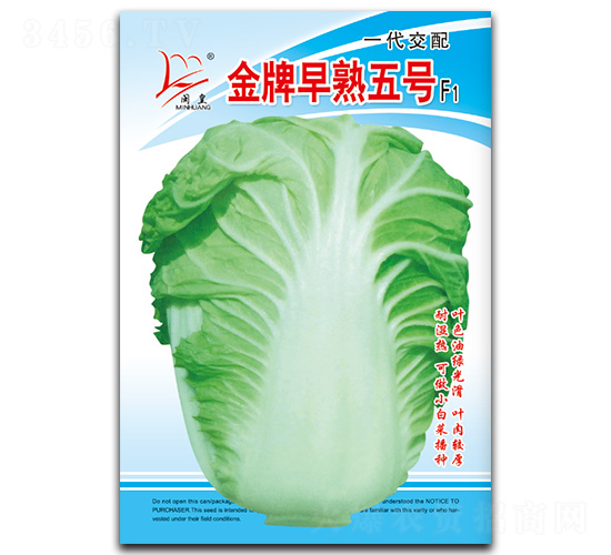 金牌早熟五號-白菜種子-閩皇種業(yè)