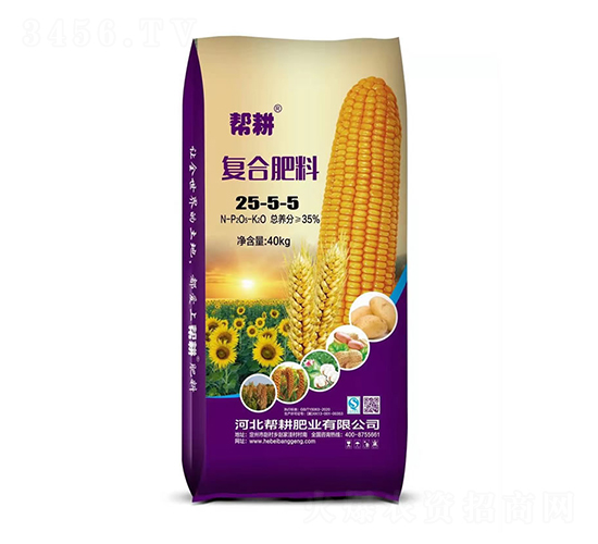 ͻ25-5-5-͸ʘI(y)