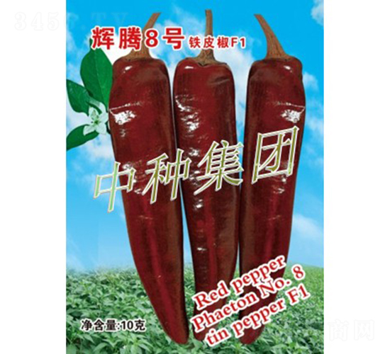 輝騰8號-辣椒種子-中種集團(tuán)