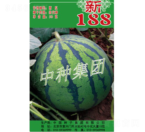 新188-西瓜種子-中種集團(tuán)