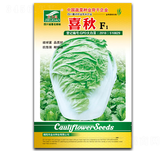 喜秋-白菜種子-全興種業(yè)